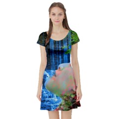 Fountain Of Youth Short Sleeve Skater Dress by icarusismartdesigns