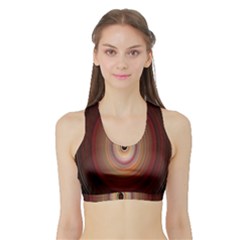 Colour Twirl Women s Sports Bra With Border by InsanityExpressed
