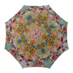 Love Umbrella by M. Nicole van Dam, Golf Umbrella