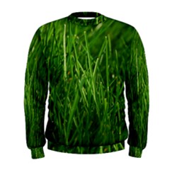 Green Grass 1 Men s Sweatshirts