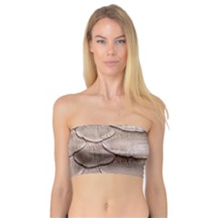 Scaly Leather Women s Bandeau Tops by trendistuff