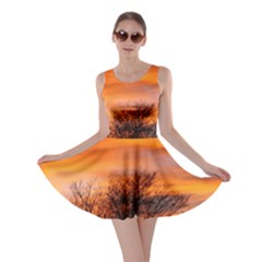 Orange Sunset Skater Dresses by trendistuff
