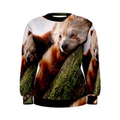 Red Panda Women s Sweatshirts by trendistuff