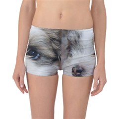 Sad Puppy Reversible Boyleg Bikini Bottoms by trendistuff