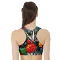 BUTTERFLY FLOWERS 1 Women s Sports Bra with Border View2
