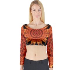 Flaming Sun Long Sleeve Crop Top by Zandiepants