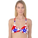 The Patriot 2 Reversible Tri Bikini Top View3