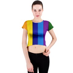 Rainbow Painting On Wood Crew Neck Crop Top by StuffOrSomething