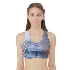 Natural Brown Blue, Large Trees In Sky Women s Sports Bra With Border by yoursparklingshop