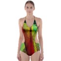 Stained Glass Window Cut-Out One Piece Swimsuit View1