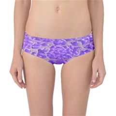 Festive Chic Purple Stone Glitter  Classic Bikini Bottoms by yoursparklingshop