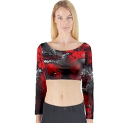 Amazing Fractal 25 Long Sleeve Crop Top by Fractalworld