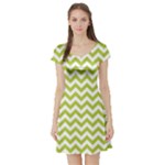 Spring Green & White Zigzag Pattern Short Sleeve Skater Dress