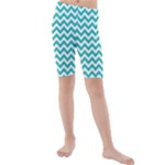 Turquoise & White Zigzag Pattern Kid s Mid Length Swim Shorts
