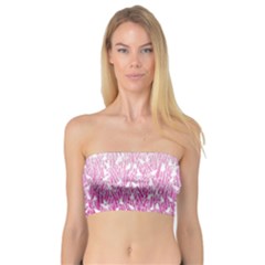 Pink Ombre Feather Pattern, White, Bandeau Top by Zandiepants