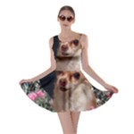 Chi Chi In Butterflies, Chihuahua Dog In Cute Hat Skater Dress