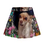 Chi Chi In Butterflies, Chihuahua Dog In Cute Hat Mini Flare Skirt