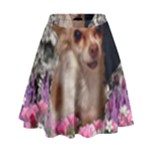 Chi Chi In Flowers, Chihuahua Puppy In Cute Hat High Waist Skirt