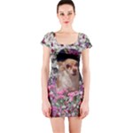 Chi Chi In Flowers, Chihuahua Puppy In Cute Hat Short Sleeve Bodycon Dress