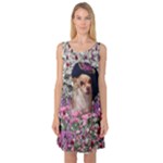 Chi Chi In Flowers, Chihuahua Puppy In Cute Hat Sleeveless Satin Nightdress