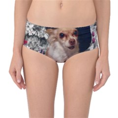 Chi Chi In Flowers, Chihuahua Puppy In Cute Hat Mid-waist Bikini Bottoms by DianeClancy