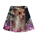 Chi Chi In Flowers, Chihuahua Puppy In Cute Hat Mini Flare Skirt