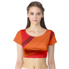 Red And Orange Decorative Abstraction Short Sleeve Crop Top (tight Fit) by Valentinaart