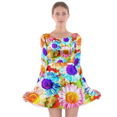 Colorful Daisy Garden Long Sleeve Skater Dress by DanaeStudio