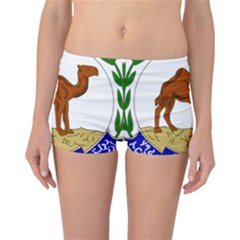National Emblem Of Eritrea  Reversible Bikini Bottoms by abbeyz71