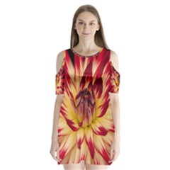 Bloom Blossom Close Up Flora Shoulder Cutout Velvet  One Piece by Amaryn4rt