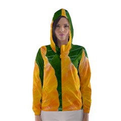 Wet Yellow And Green Leaves Abstract Pattern Hooded Wind Breaker (women) by Amaryn4rt