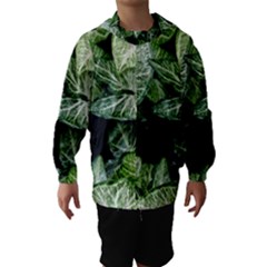 Green Leaves Nature Pattern Plant Hooded Wind Breaker (kids) by Amaryn4rt