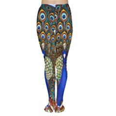 The Peacock Pattern Women s Tights by Nexatart