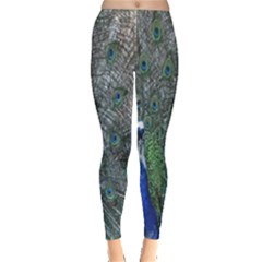 Peacock Four Spot Feather Bird Leggings  by Nexatart