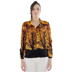 Moon Tree Kahl Silhouette Wind Breaker (women) by Nexatart