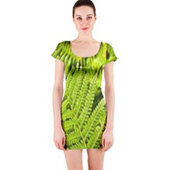 Fern Nature Green Plant Short Sleeve Bodycon Dress by Nexatart