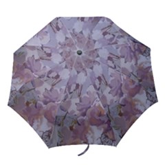 Blueroses Folding Umbrella by lynngrayson