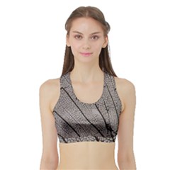 Sea Fan Coral Intricate Patterns Sports Bra With Border by Amaryn4rt