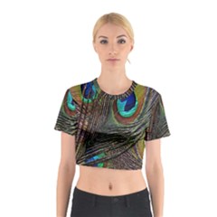 Peacock Feathers Cotton Crop Top by Simbadda