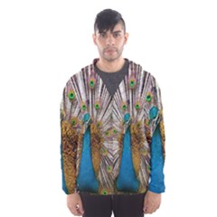 Indian Peacock Plumage Hooded Wind Breaker (men) by Simbadda