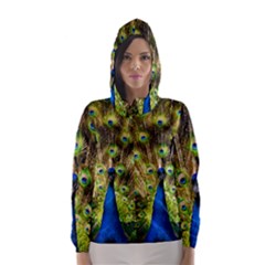 Peacock Bird Hooded Wind Breaker (women) by Simbadda