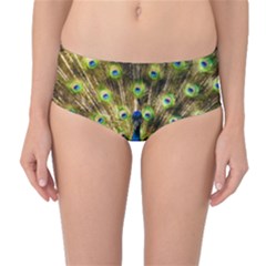 Peacock Bird Mid-waist Bikini Bottoms by Simbadda