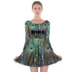 Peacock Jewelery Long Sleeve Skater Dress by Simbadda