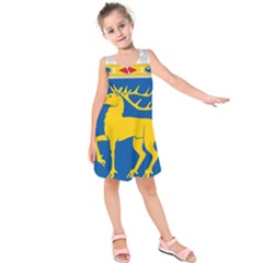 Coat Of Arms Of Aland Kids  Sleeveless Dress by abbeyz71