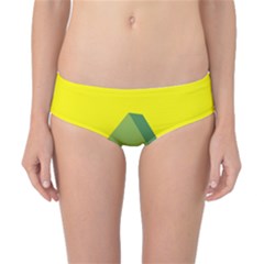 Fruit Melon Sweet Yellow Green White Red Classic Bikini Bottoms by Alisyart