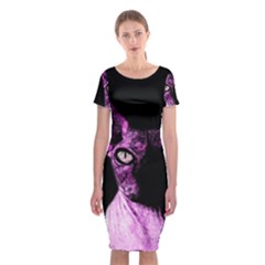 Pink Sphynx Cat Classic Short Sleeve Midi Dress by Valentinaart