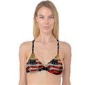 American president Reversible Tri Bikini Top View1