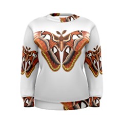 Butterfly Animal Insect Isolated Women s Sweatshirt by Simbadda