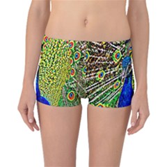 Graphic Painting Of A Peacock Boyleg Bikini Bottoms by Simbadda