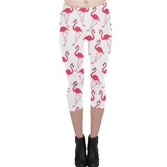 Flamingo Pattern Capri Leggings  by Valentinaart